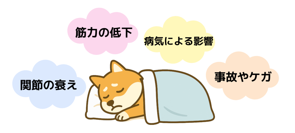 寝たきりの原因