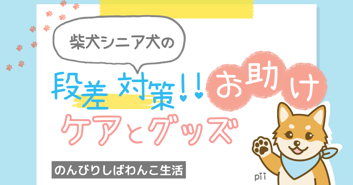 シニア犬の段差対策 日常の工夫と便利グッズ