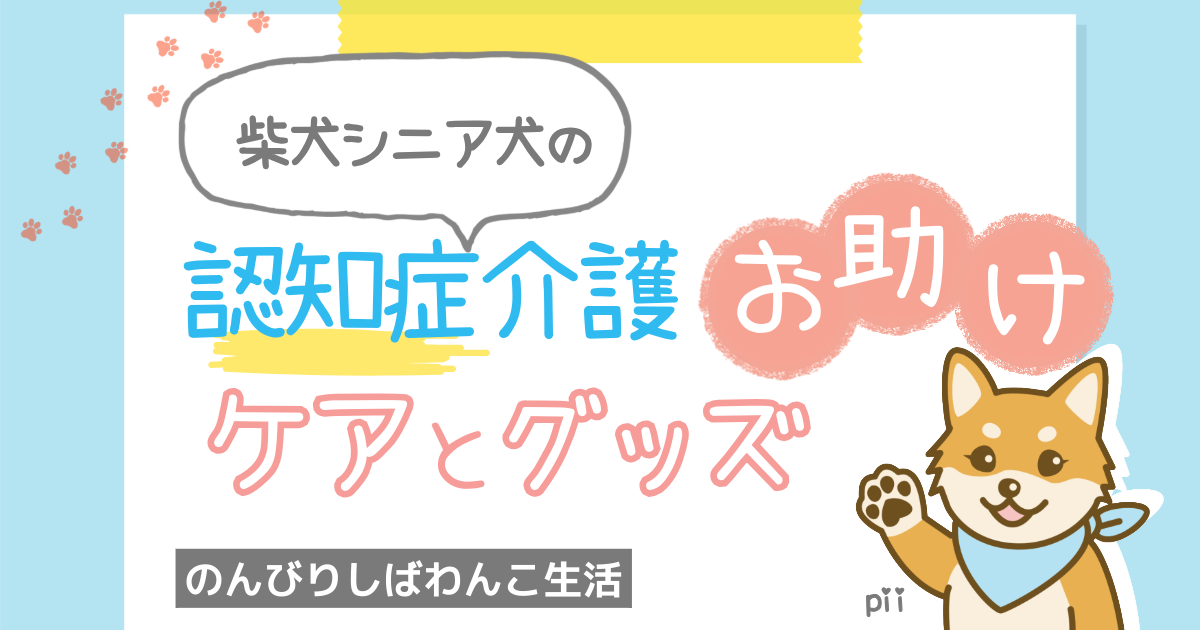 柴犬シニア犬の認知症介護で学んだこと｜ケアと予防に役立つグッズ紹介